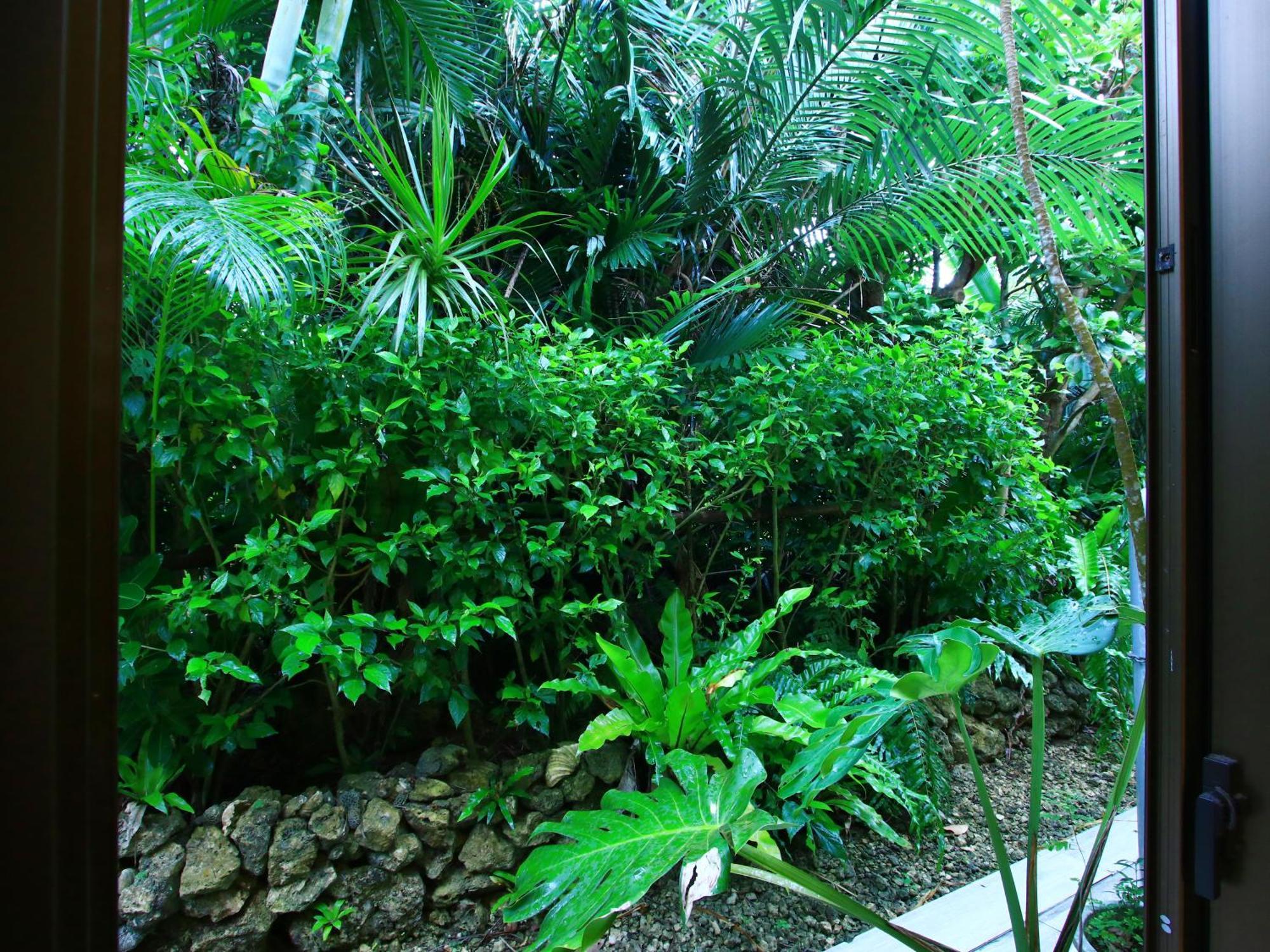 Kachibai Villa Ishigaki  Dış mekan fotoğraf